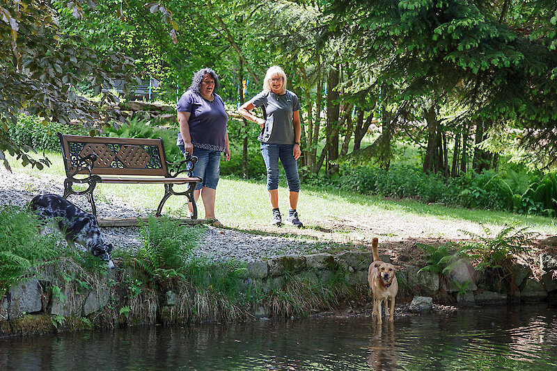 Urlaub mit Hund im Bayerischen Wald